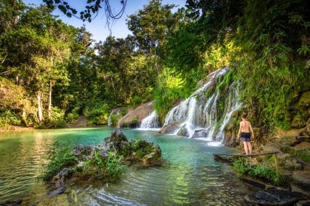 830+ Cuba Waterfall Caribbean Nature Stock Photos, Pictures & Royalty-Free  Images - iStock