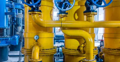 Картинка довгочиту