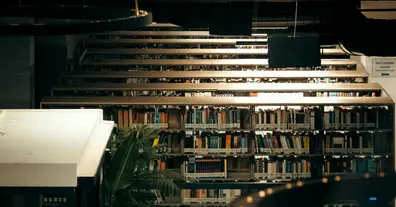 Картинка довгочиту