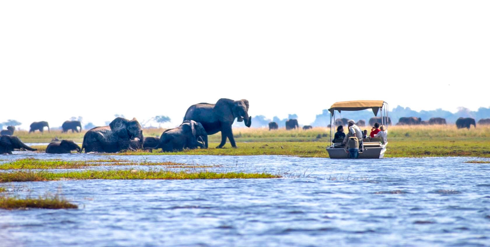 Best Time to Visit Botswana by Month & Season