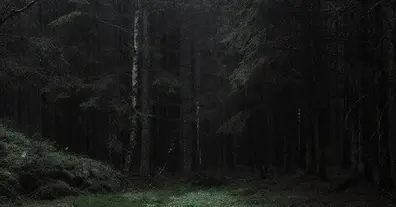 Картинка довгочиту