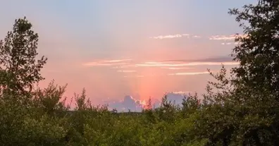 'В обіймах твоїх квітів'. Едельвейси. - на we.ua