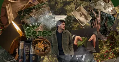 Картинка довгочиту