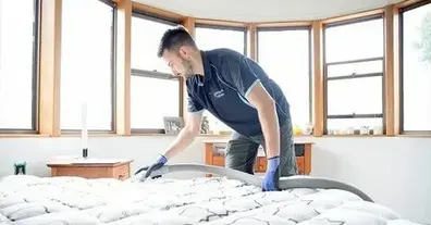 Картинка довгочиту