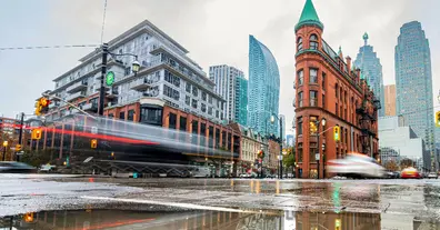 Картинка довгочиту