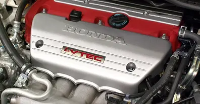 Картинка довгочиту