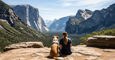 Картинка довгочиту