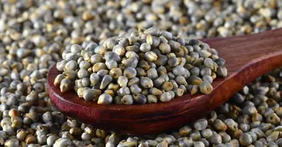 Картинка довгочиту