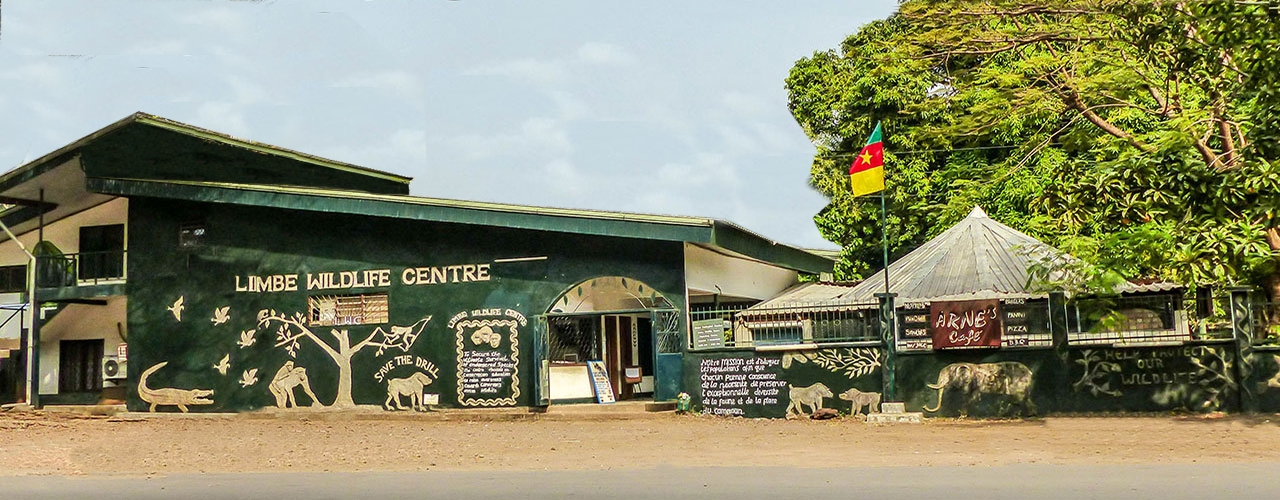 Limbe Attractions | Discover-Cameroon