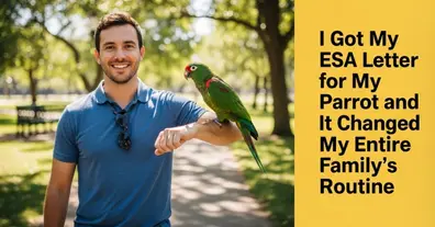 Картинка довгочиту