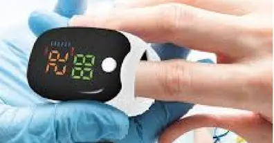 Картинка довгочиту