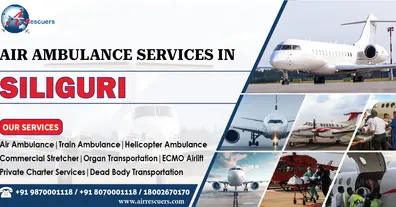 Картинка довгочиту