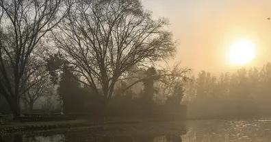 Картинка довгочиту