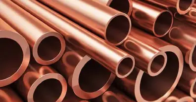 Картинка довгочиту