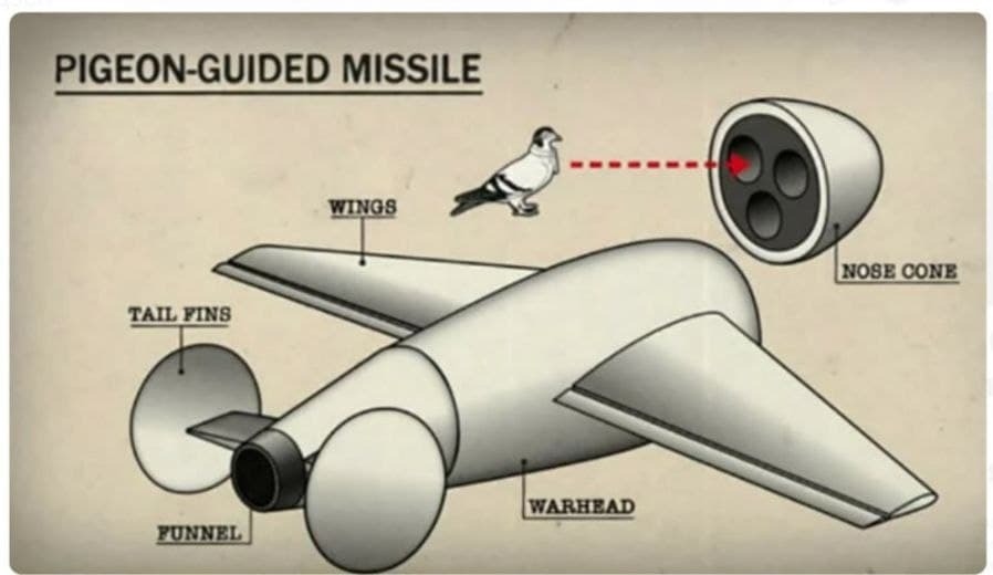 Будова ракети з голубом-пілотом