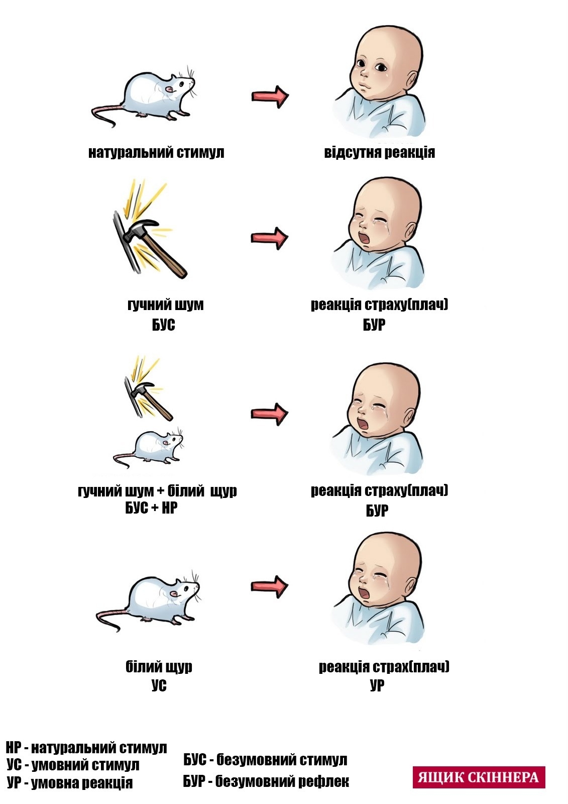 Експеримент "Маленький Альберт"