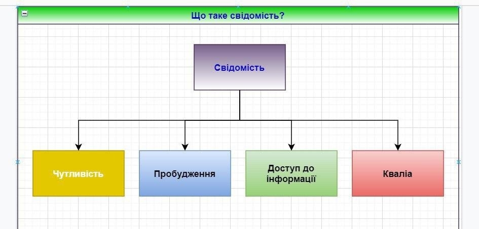 Рис. 1 Види свідомості