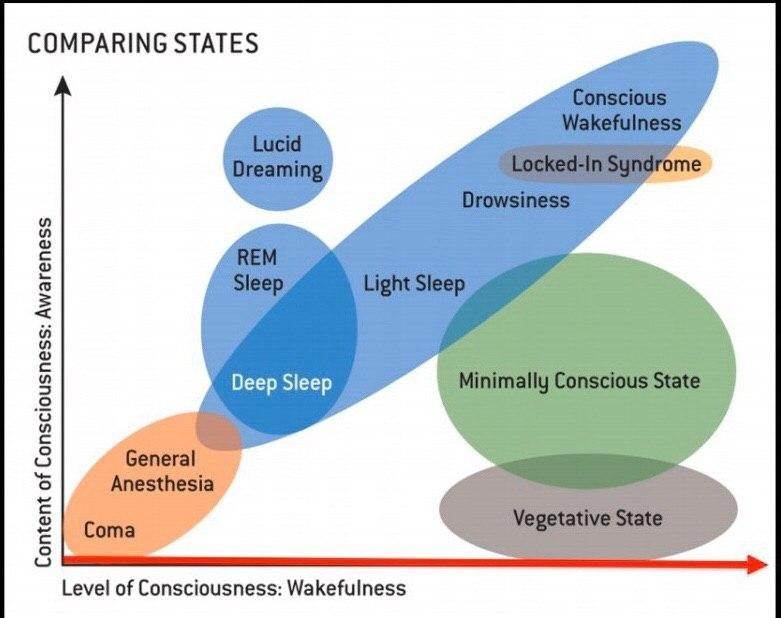 Рис.2 Різні види свідомості на осі координат