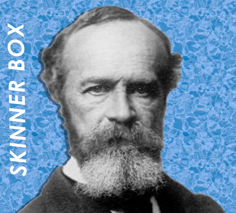 Вільям Джеймс