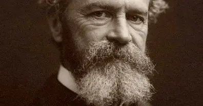 Картинка довгочиту