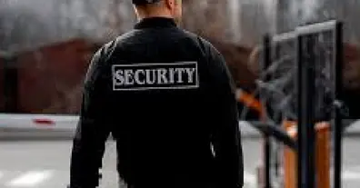 Картинка довгочиту