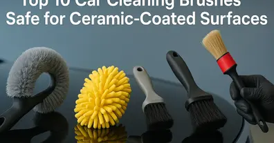 Картинка довгочиту