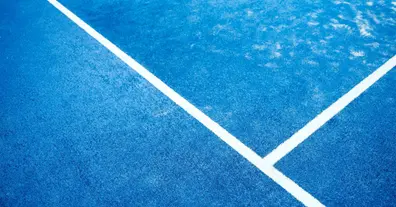 Картинка довгочиту