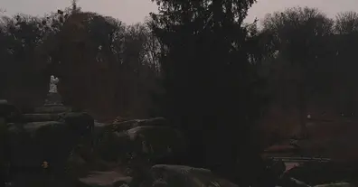 Картинка довгочиту