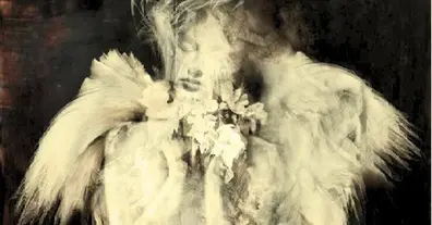 Картинка довгочиту