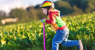 Картинка довгочиту