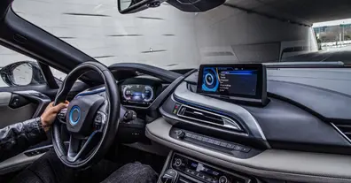 Картинка довгочиту