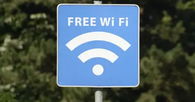 Картинка довгочиту