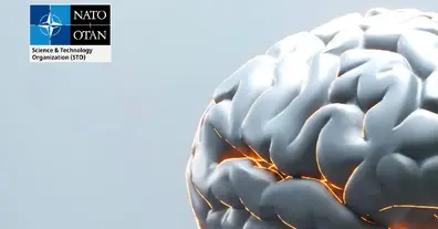 Картинка довгочиту