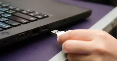 Картинка довгочиту