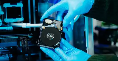 Картинка довгочиту