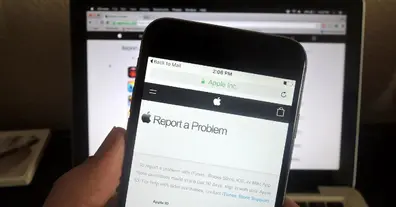 Картинка довгочиту