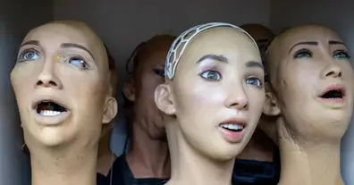 Картинка довгочиту