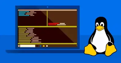 Картинка довгочиту