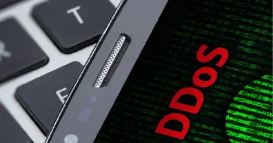 Картинка довгочиту