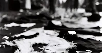 Система і антисистема: як формується конфлікт у панк-сцені -  на weua.dev