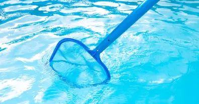 Картинка довгочиту