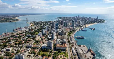 Картинка довгочиту