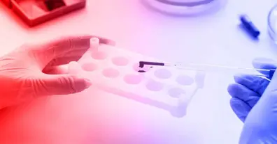 Картинка довгочиту