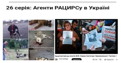 Картинка довгочиту