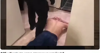 Картинка довгочиту