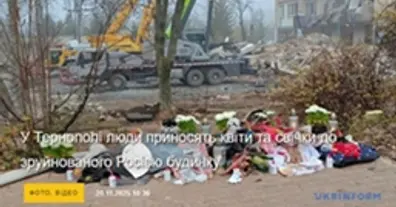 Картинка довгочиту