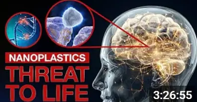 Картинка довгочиту