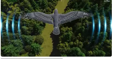 Картинка довгочиту