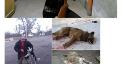 Картинка довгочиту