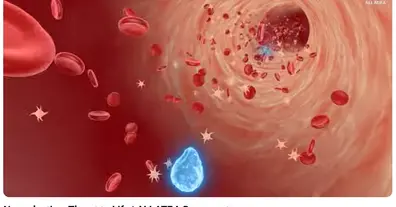 Картинка довгочиту